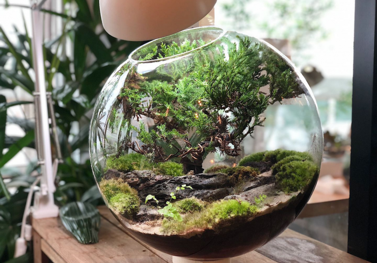 Designspeak Nature Lover Feature